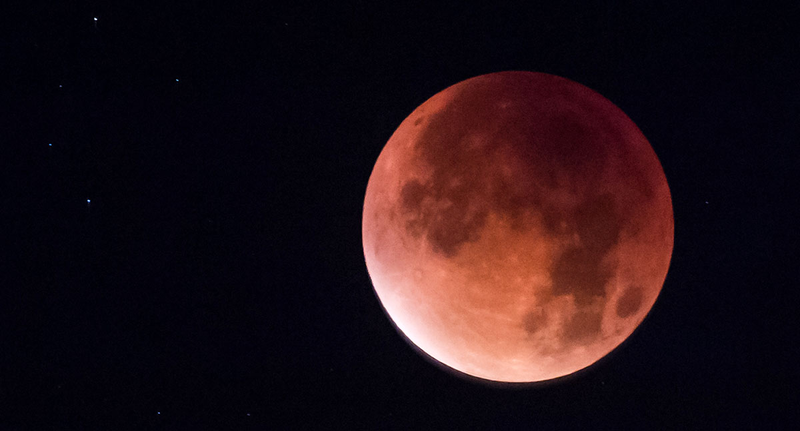 Illustration for article titled Las mejores fotos del eclipse total y la superluna de ayer
